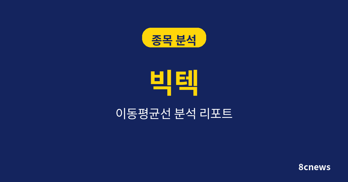 빅텍을 5대 지표로 분석한 결과